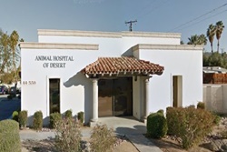 animal hospital of desert veterinarians in the palm desert california