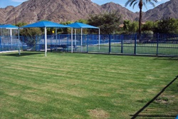 dog parks in indian wells