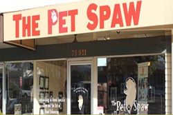 pet day care boarding and grooming in the palm desert, pet boarding and grooming in indian wells, california pet spaw pet friendly indian wells